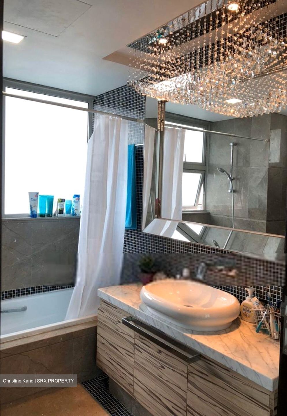 The Vision (D5), Condominium #584550071
